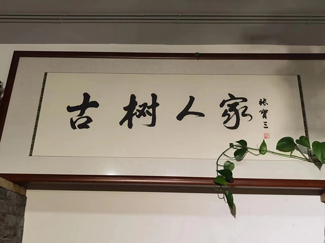 临沧古树人家邦麓茶业绿水塘普洱茶