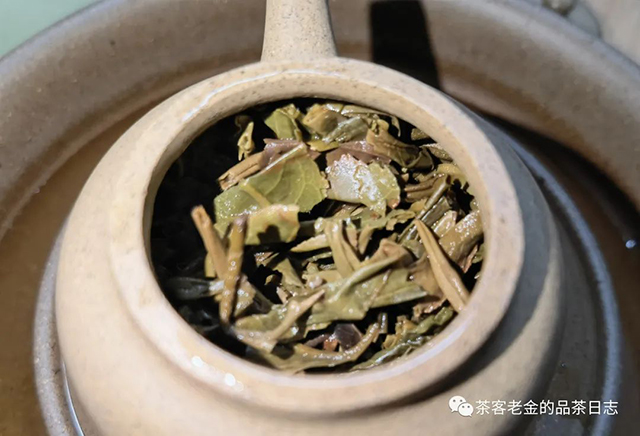 斗记2020年狂斗普洱茶