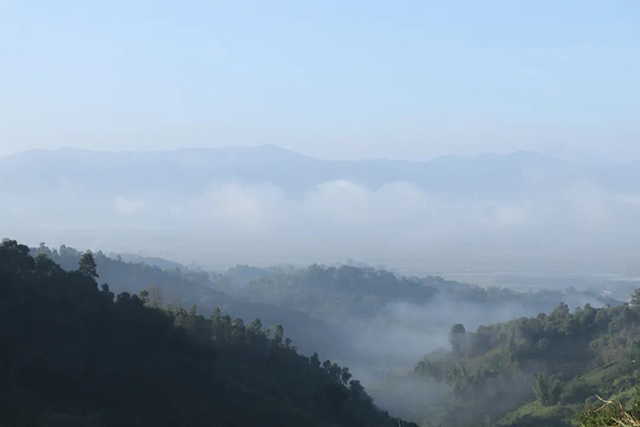 中吉号2022年春茶吉遇茶文旅