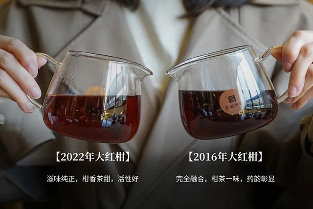 津乔普洱大红柑陈皮熟茶