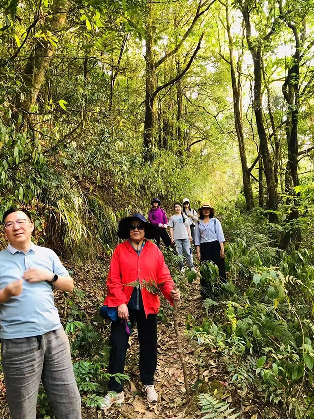 困鹿山真正野生古树普洱茶会