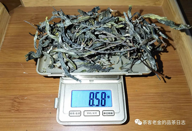 流星赶月2022年薄荷塘普洱茶