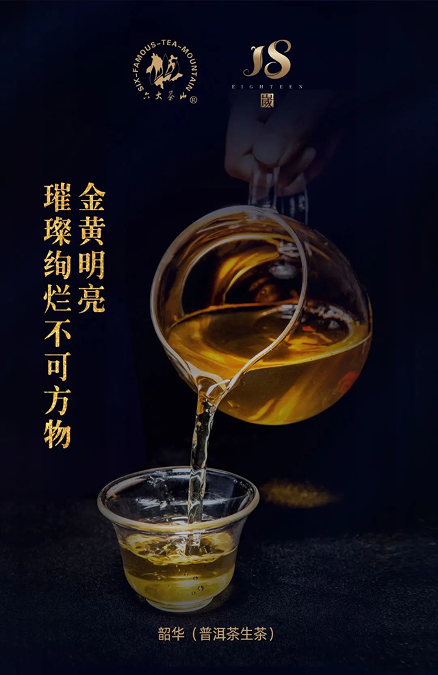 六大茶山韶华普洱茶生茶