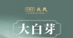 戎氏2022大白芽：2022年头波新茶，速来尝鲜