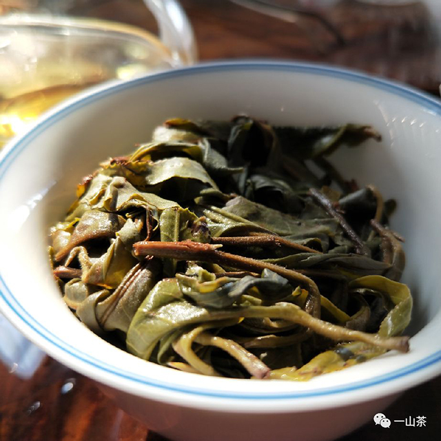 黑鱼制茶的古茶园