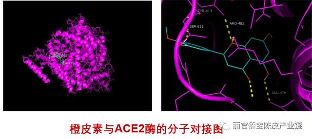 新型冠状病毒肺炎诊疗方案