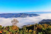 云柯庄园：新六大茶山寻味之旅