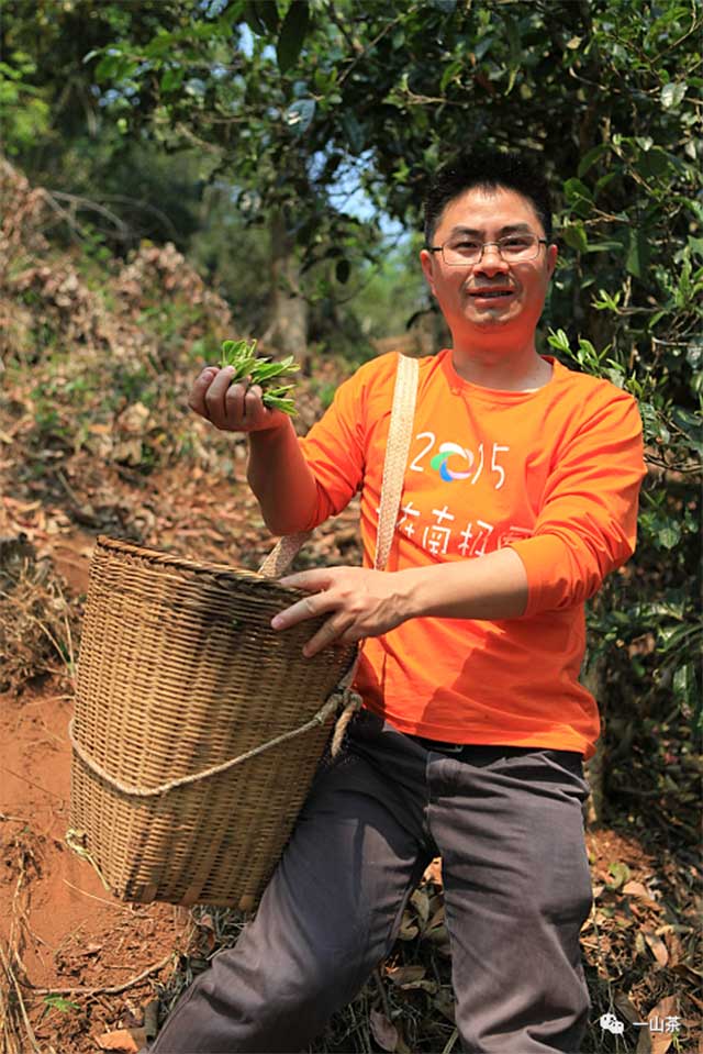 南糯山半坡老寨普洱茶