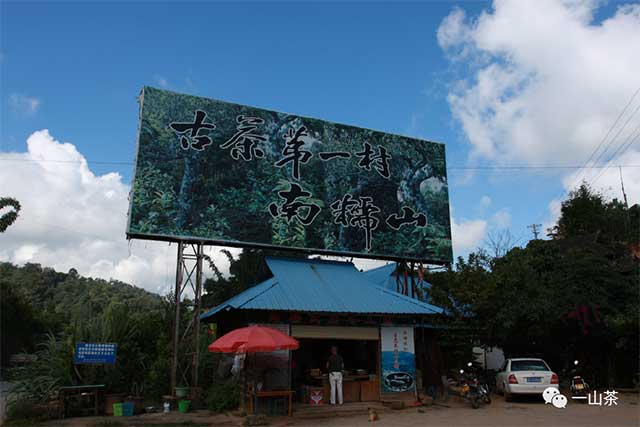 南糯山半坡老寨普洱茶