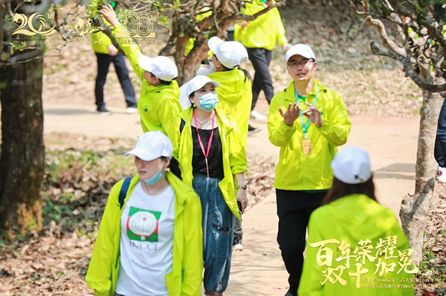 六大茶山2022年茶山行