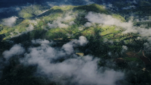 润元昌高山韵象普洱茶
