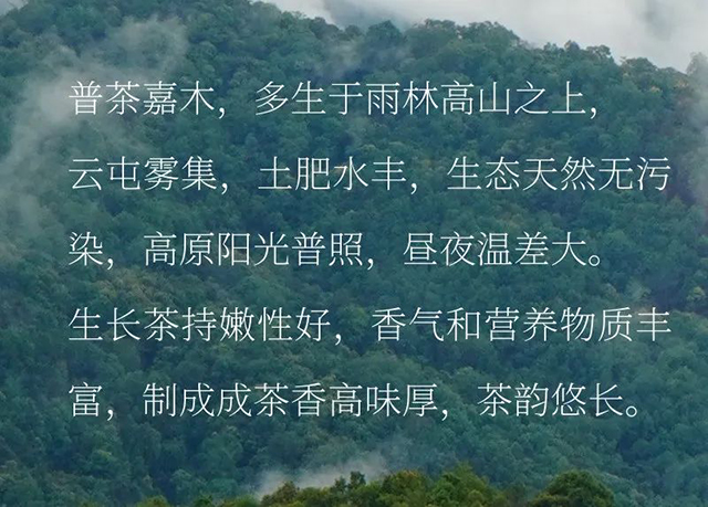 润元昌高山韵象普洱茶