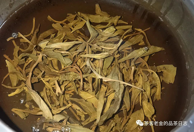 南木茶堂2016年弯弓普洱茶