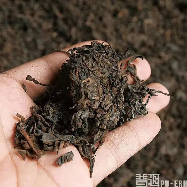 普洱熟茶工艺