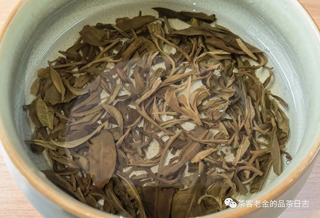 曼松茶王树单株普洱茶