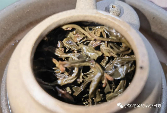 曼松茶王树单株普洱茶