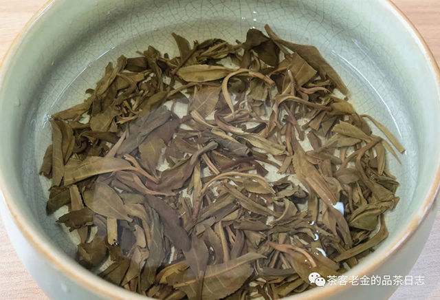 曼松茶王树普洱茶