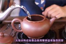 为什么要用紫砂壶泡普洱茶？看完这个视频就懂了「双陈微普小课堂」