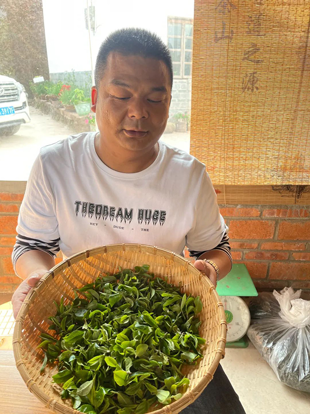 茶业复兴周重林对话冯龙