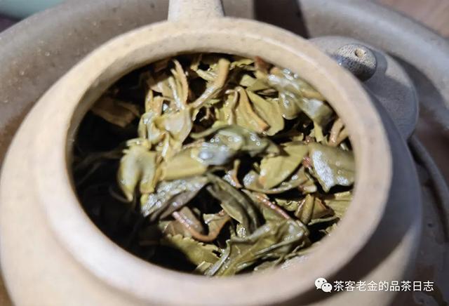 2019年困鹿山贡茶头春普洱茶