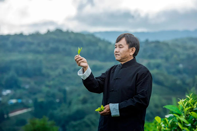 凤庆滇红茶制茶大师毕锋大师