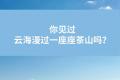 云上古茶林“野茶箐古树单株”邀您共享真正的岩骨花香