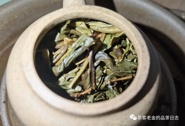 无事茶堂2021年瓦竜落水春普洱茶