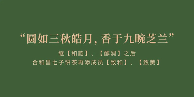 合和昌七子饼茶再添成员致和致美新品上市