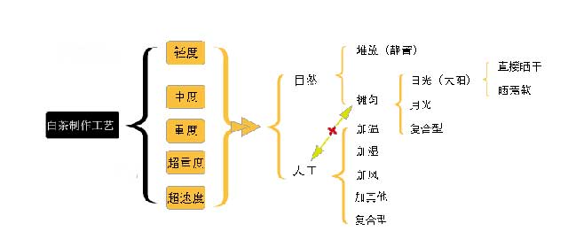 云南大叶种白茶标准