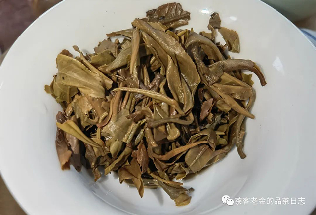 苦行茶僧无界十年普洱茶