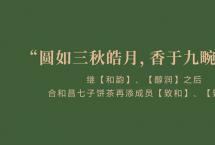 合和昌七子饼茶再添成员：【致和】【致美】新品上市