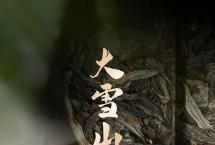 津品茶话：你喝过有茶壳的茶吗？大雪山头采首品，全国品鉴开启在即