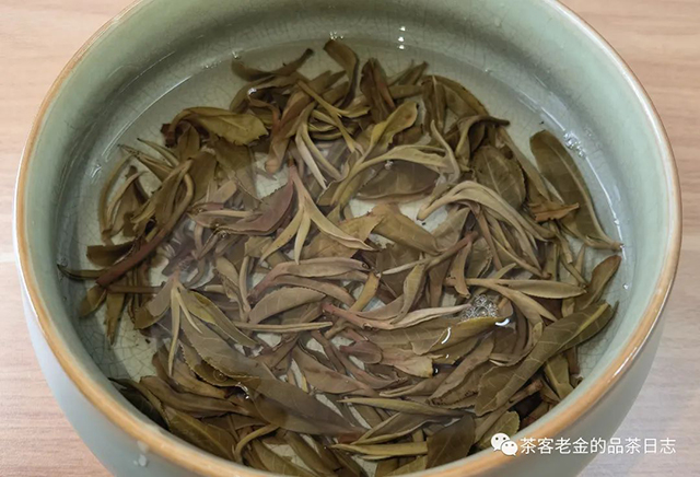 馨兰熙号2022年曼松贡茶普洱茶