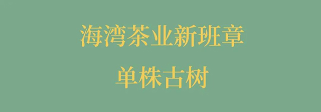 海湾茶业老同志2022年新班章普洱茶