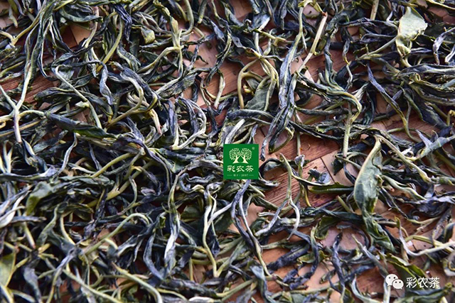 彩农茶2022年冰岛普洱茶