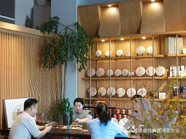 经典普洱天威德成茶会播报