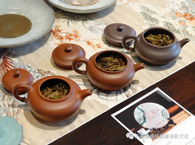 经典普洱天威德成茶会播报
