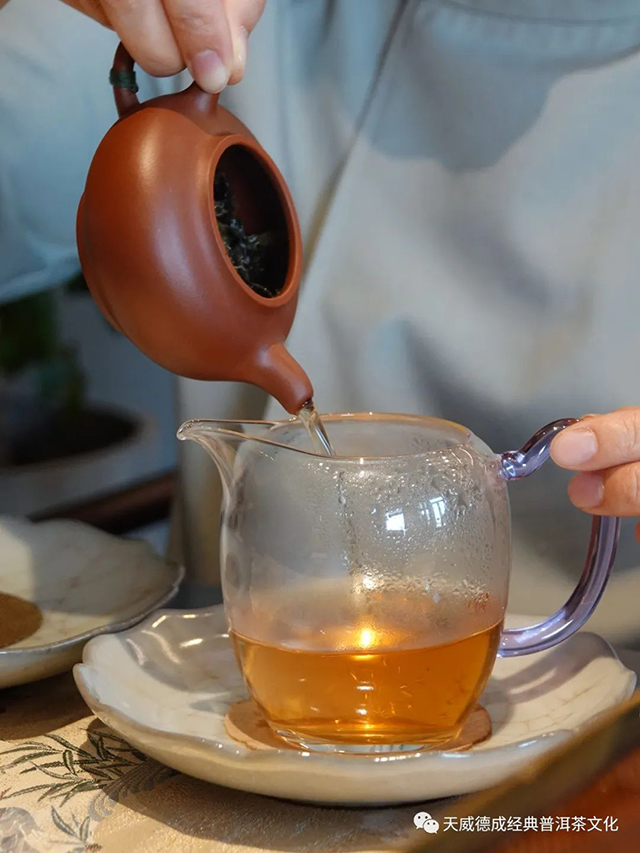 经典普洱天威德成茶会播报