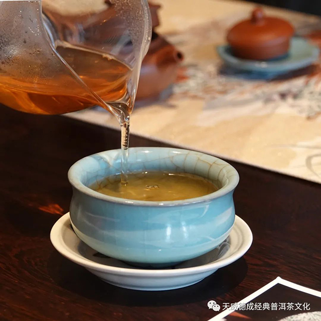 经典普洱天威德成茶会播报