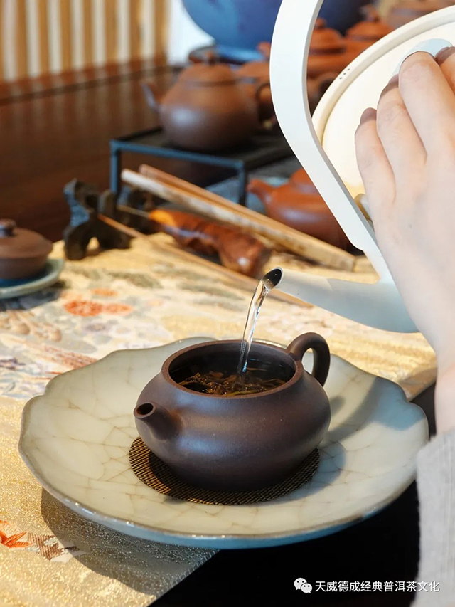 经典普洱天威德成茶会播报