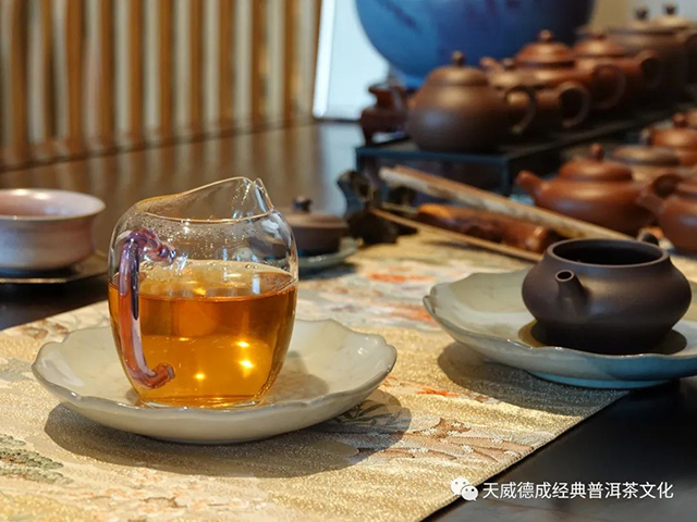经典普洱天威德成茶会播报