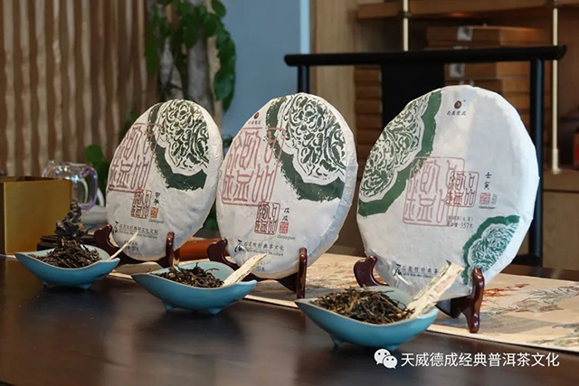 经典普洱天威德成茶会播报