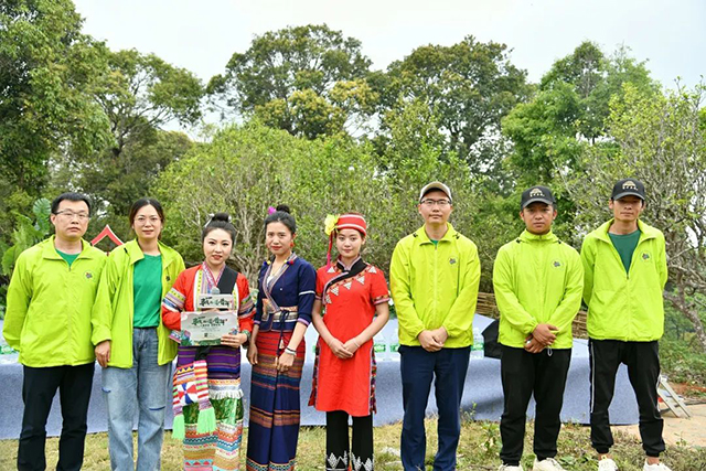 六大茶山参与此次全国采春茶直播活动