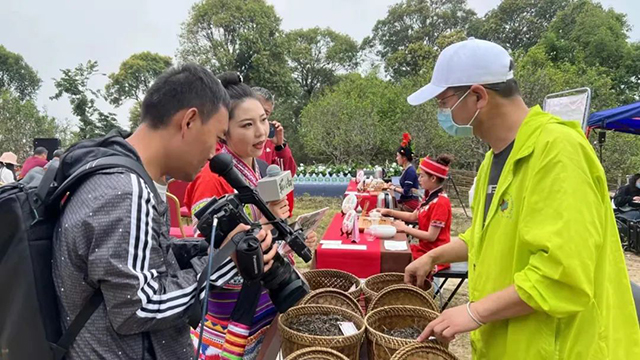 六大茶山贺开古茶园