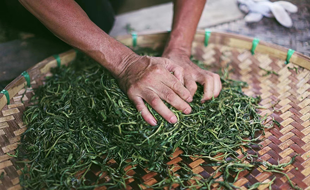 暖暖说茶