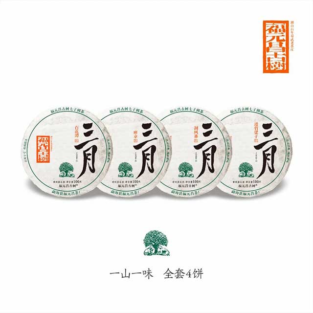 福元昌古树普洱茶三月系列茶品