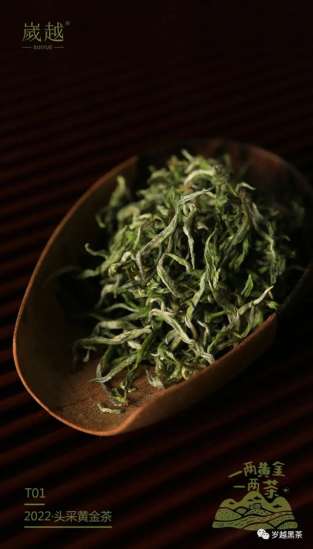 岁越黑茶黄金茶绿茶