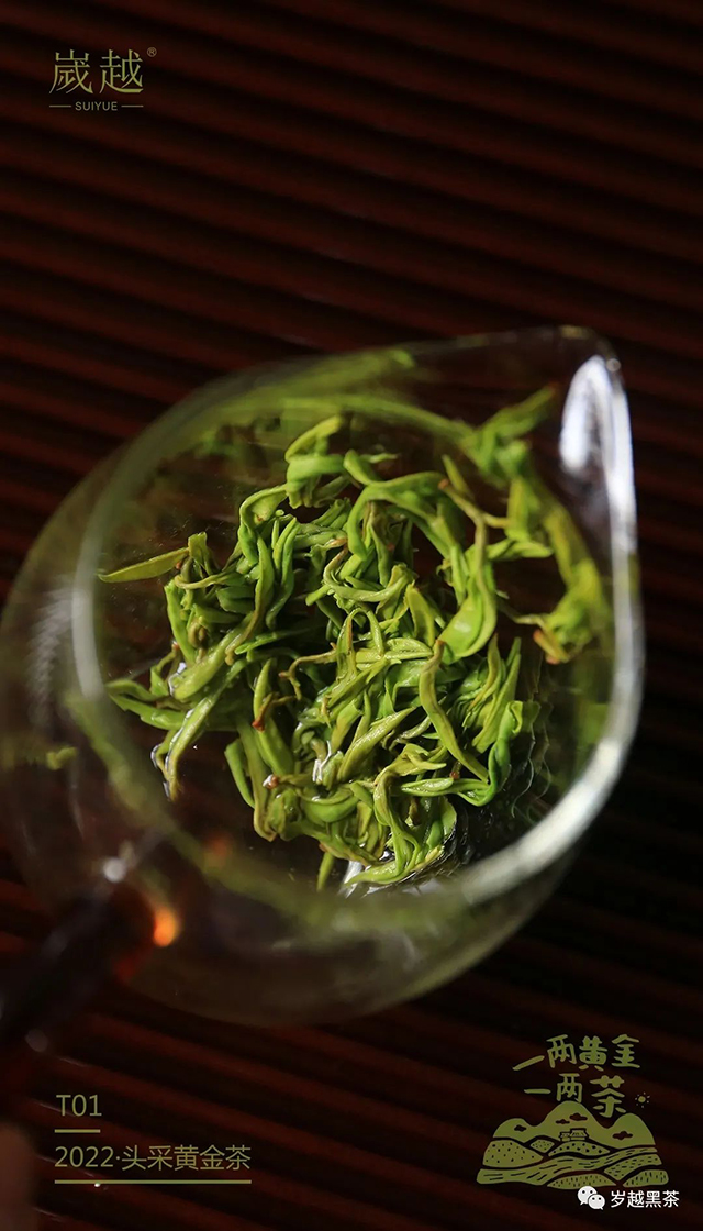 岁越黑茶黄金茶绿茶