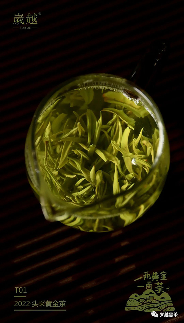 岁越黑茶黄金茶绿茶