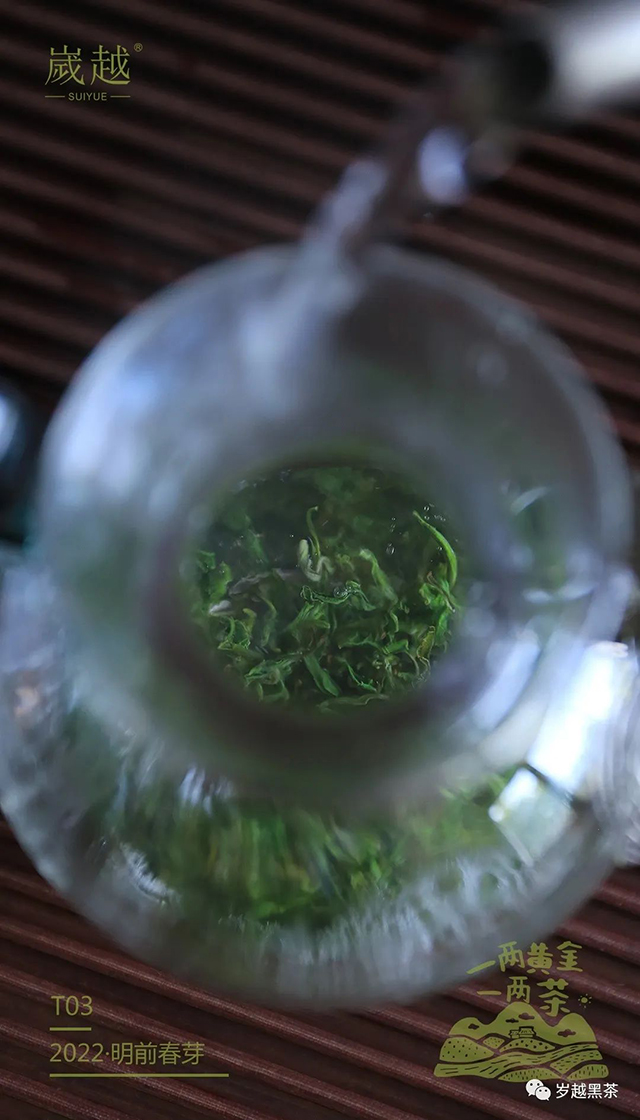 岁越黑茶黄金茶绿茶